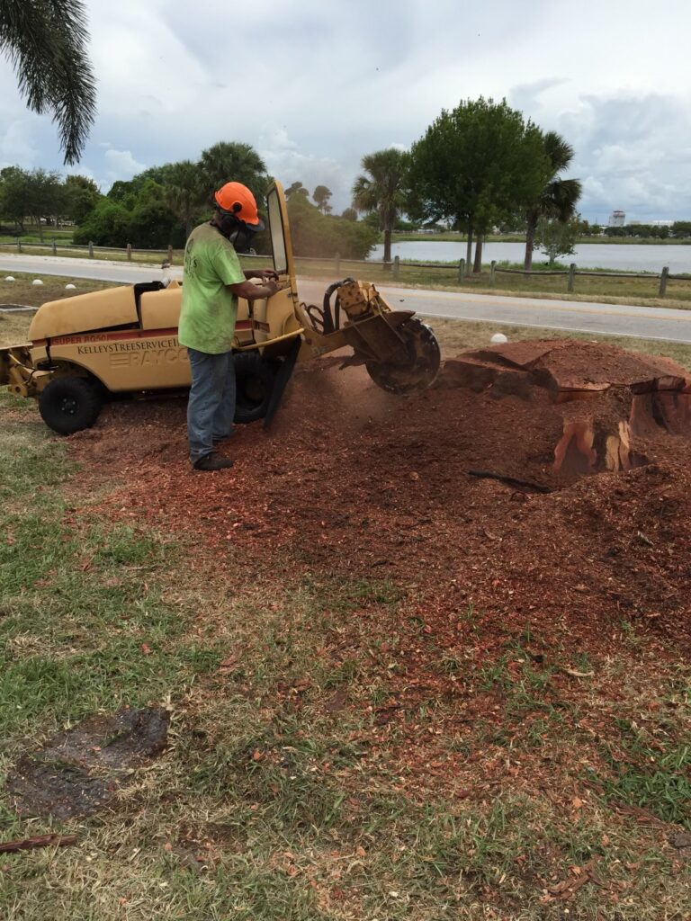 Stump grinding and land clearing by kelleys tree service inc.