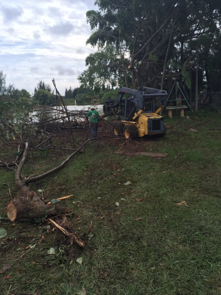 land clearing by kelley's tree service inc.